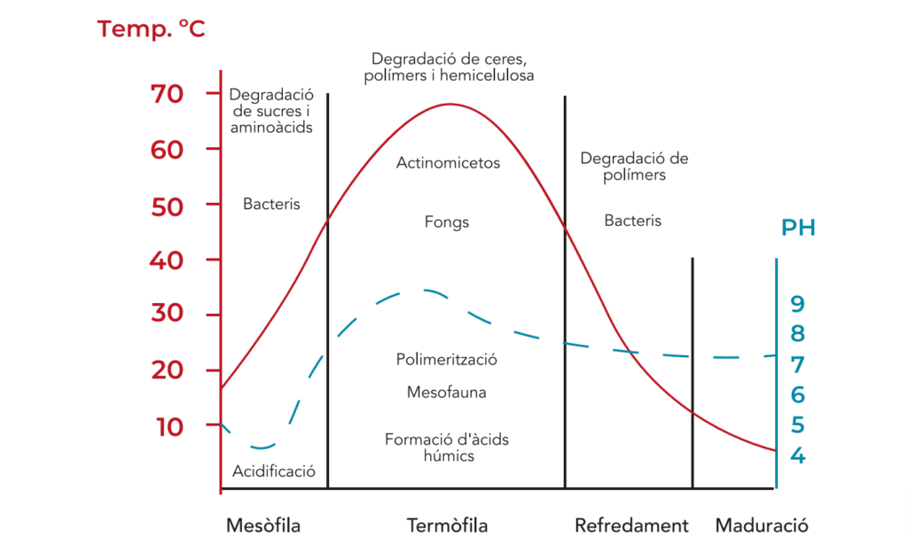 Gráfica fases del compostatge - Consorci CREA - Creacompost